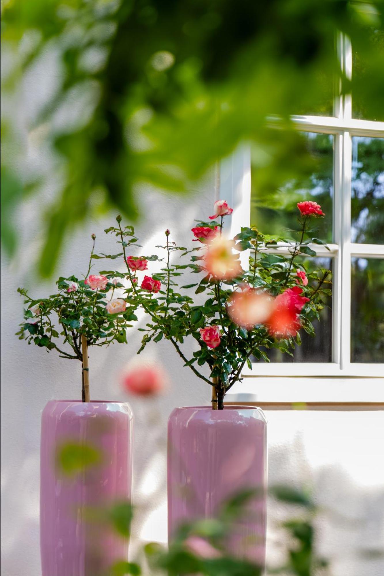 Schlosshotel Wilhelmsthal Calden Luaran gambar